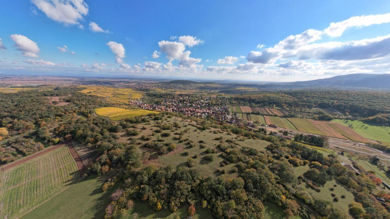 Gite Le Petit Moulin Rosenwiller Eksteriør bilde