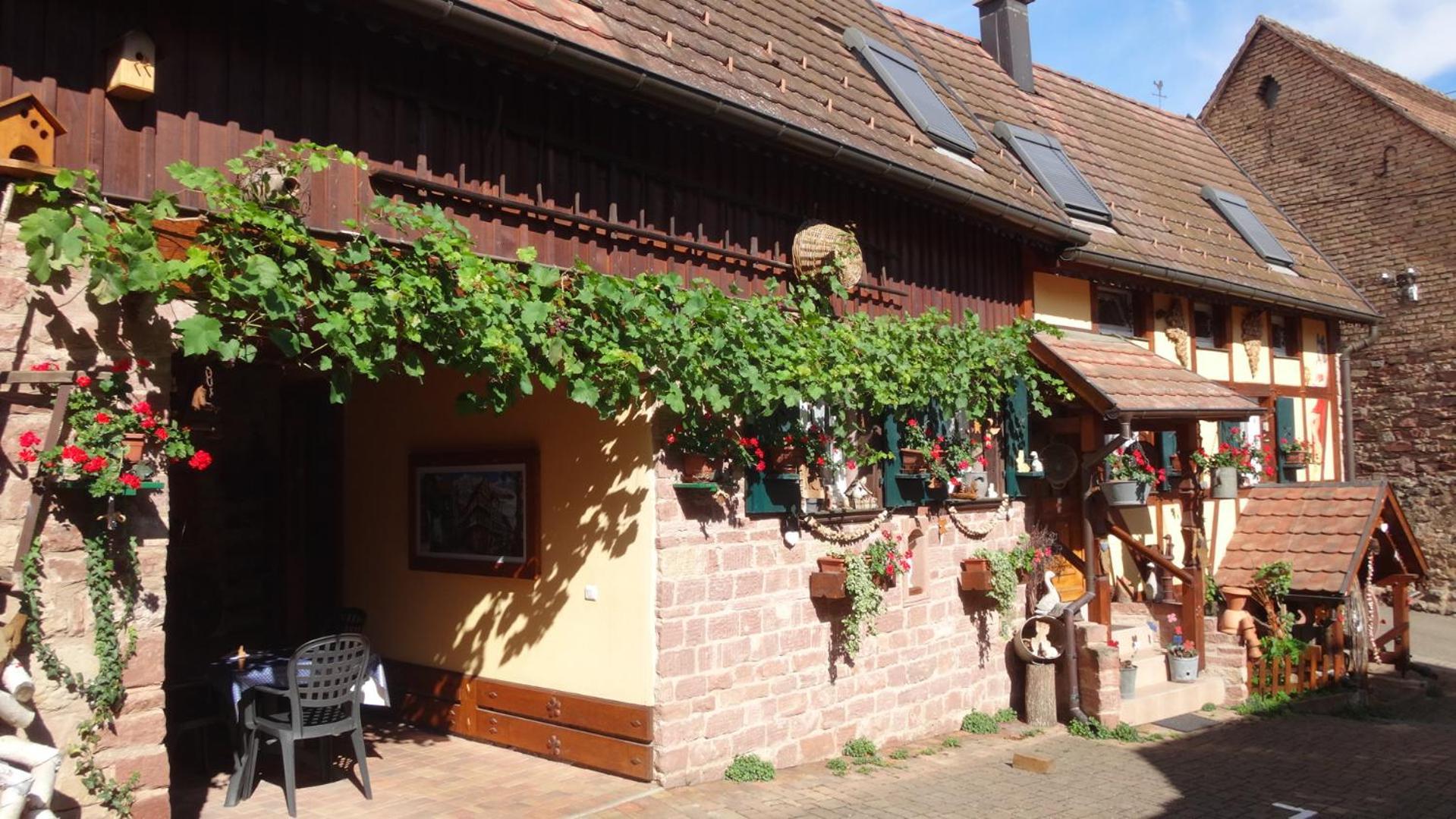 Gite Le Petit Moulin Rosenwiller Eksteriør bilde