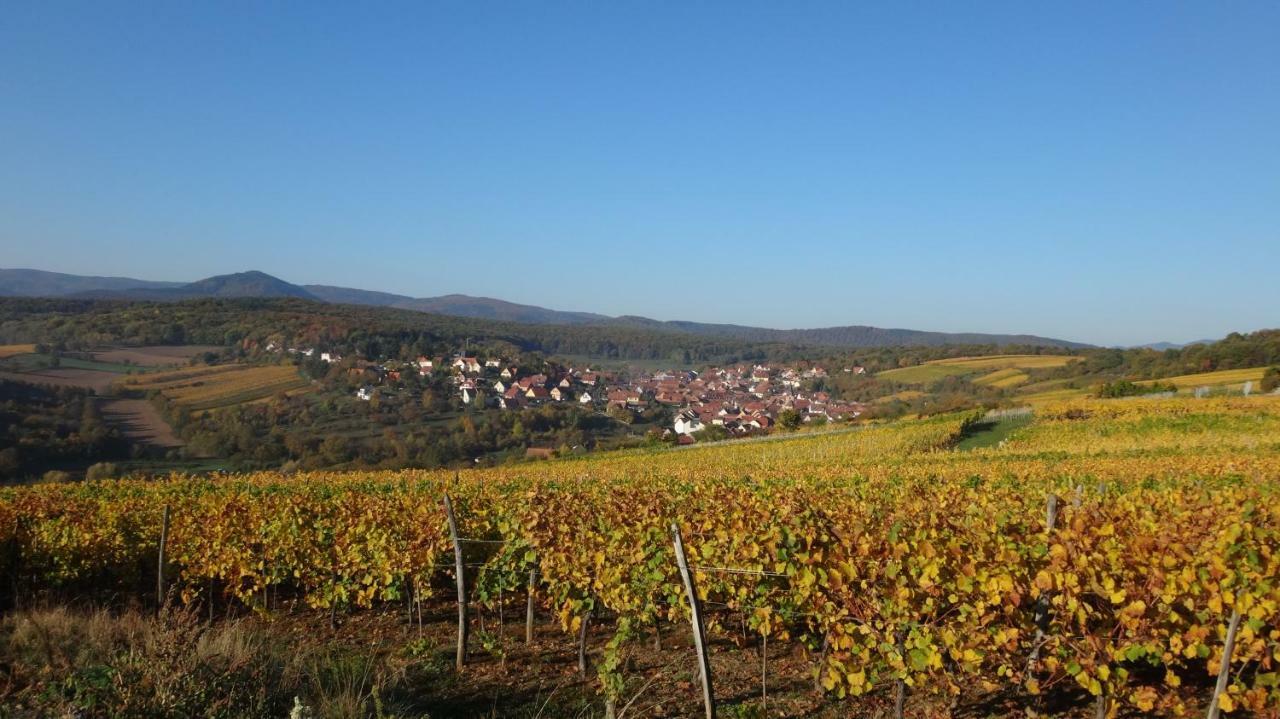 Gite Le Petit Moulin Rosenwiller Eksteriør bilde