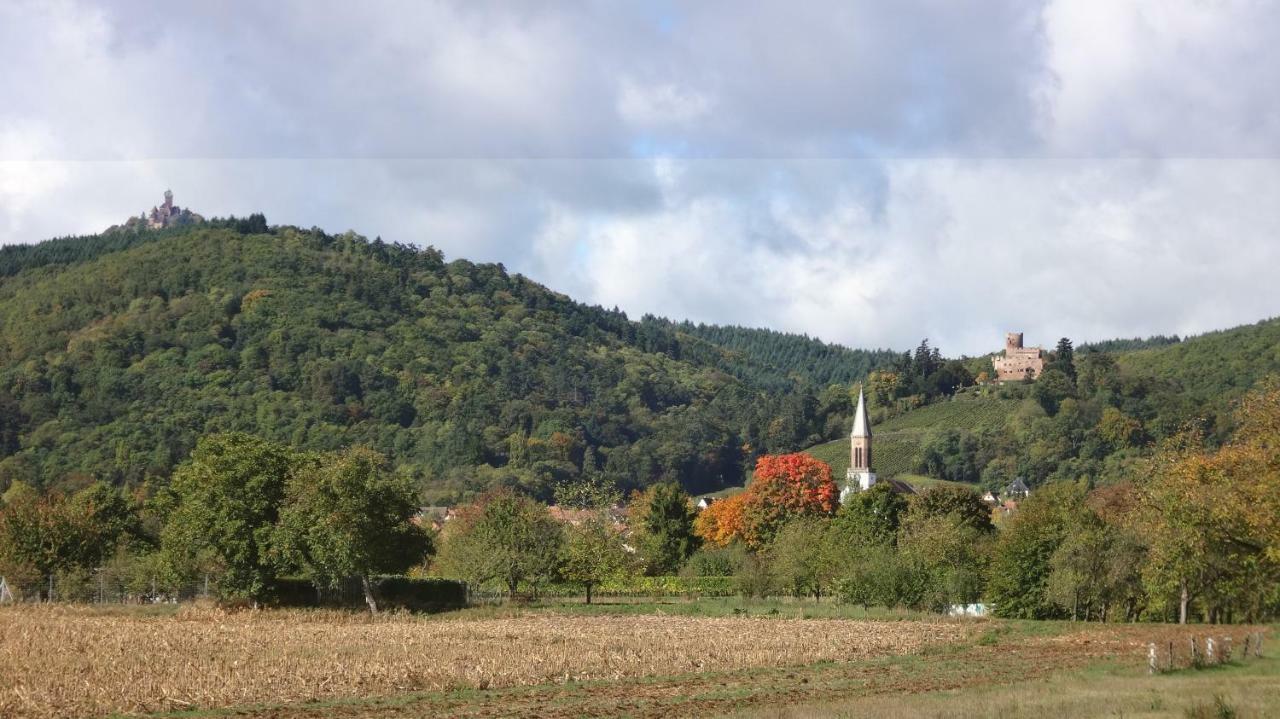 Gite Le Petit Moulin Rosenwiller Eksteriør bilde