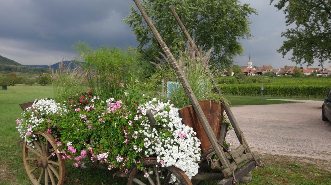 Gite Le Petit Moulin Rosenwiller Eksteriør bilde