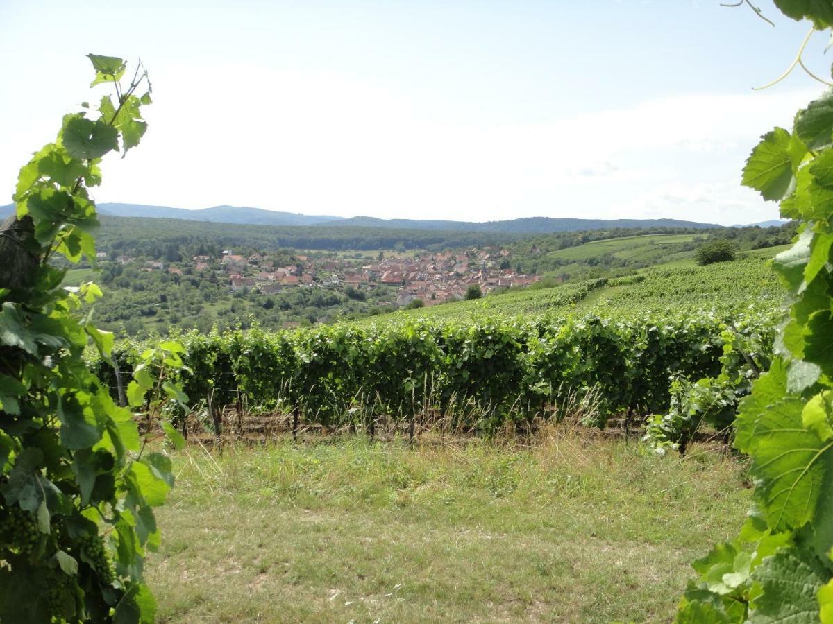 Gite Le Petit Moulin Rosenwiller Eksteriør bilde