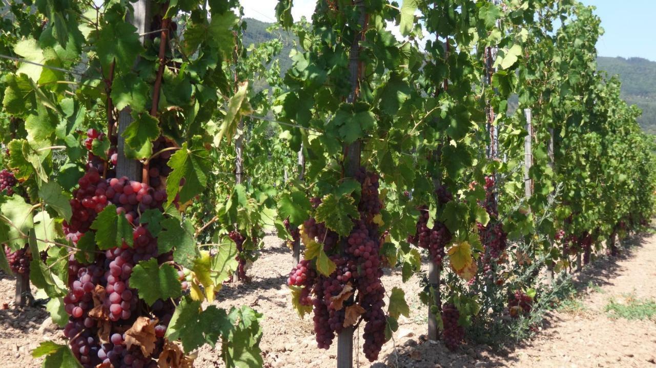 Gite Le Petit Moulin Rosenwiller Eksteriør bilde