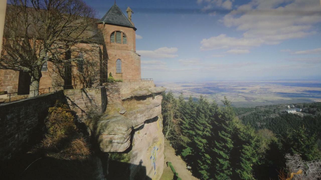Gite Le Petit Moulin Rosenwiller Eksteriør bilde