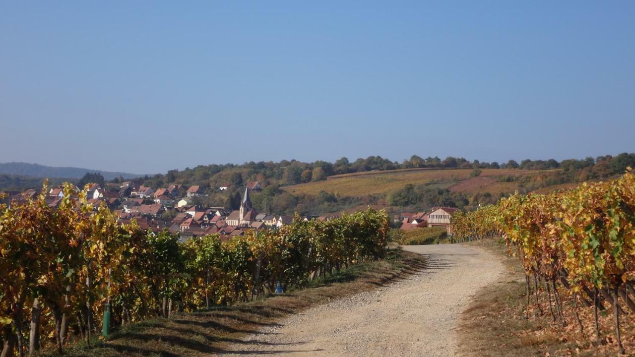 Gite Le Petit Moulin Rosenwiller Eksteriør bilde